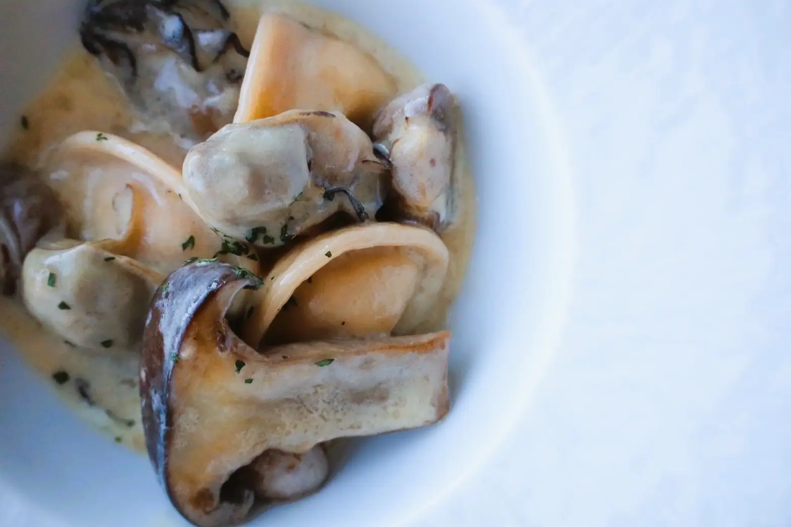 不漁下の食材調達と「秘湯」認証を活用した高付加価値化：江田島荘の事例