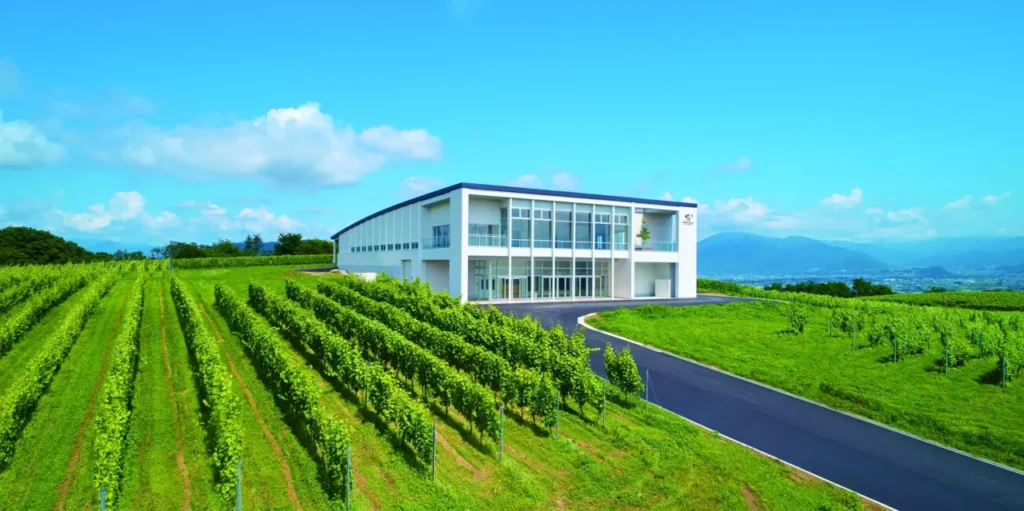 椀子ワイナリー