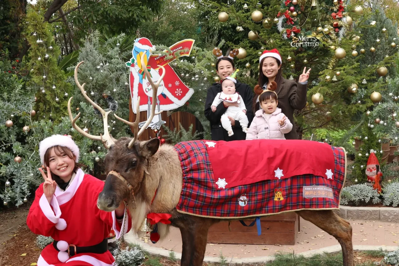 トナカイのグリーティングタイム イメージ