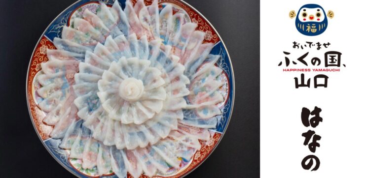 日本料理「はなの」の旬のふぐを薄造りにしたふく刺し