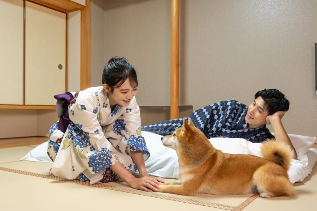 わんちゃんと宿泊可能な客室のイメージ