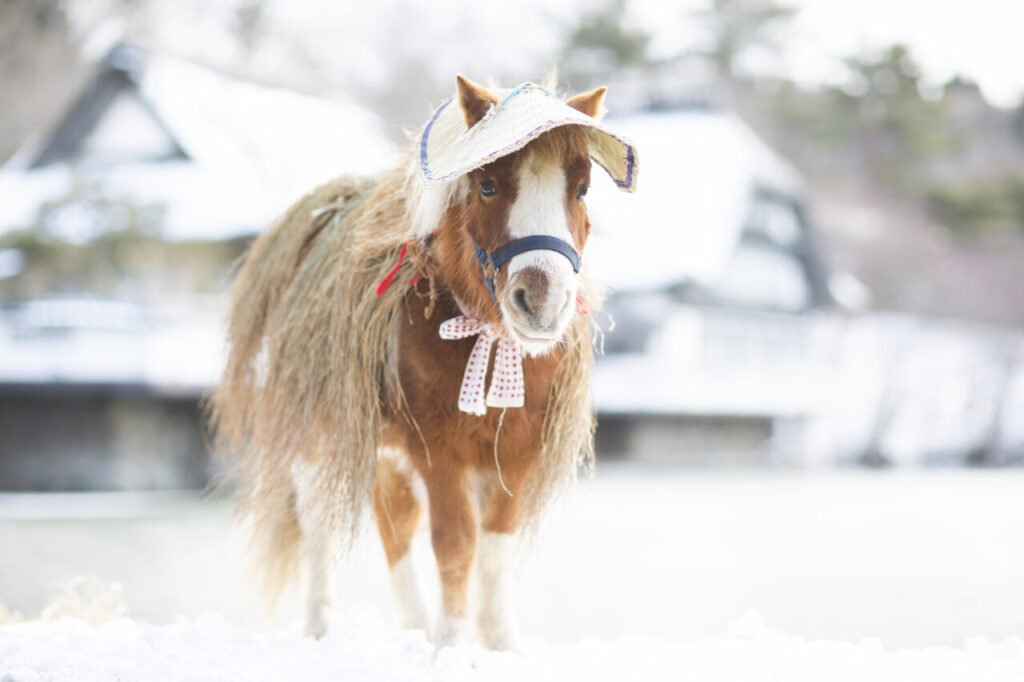 チェックインではポニーがお出迎え　看板ポニーの「それ」