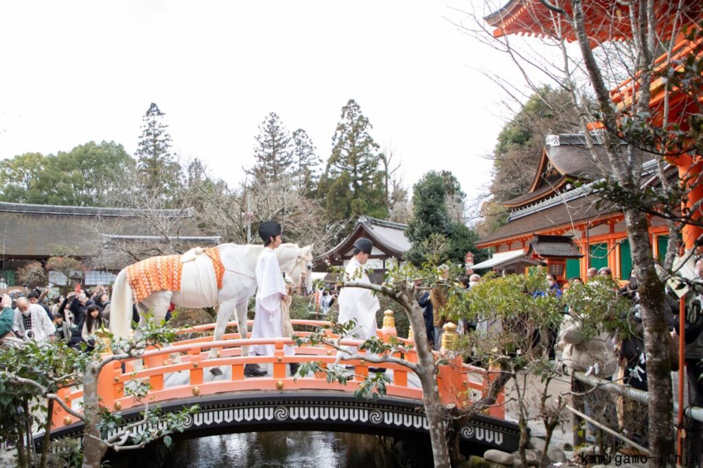 京都府　上賀茂神社「白馬奏覧神事」