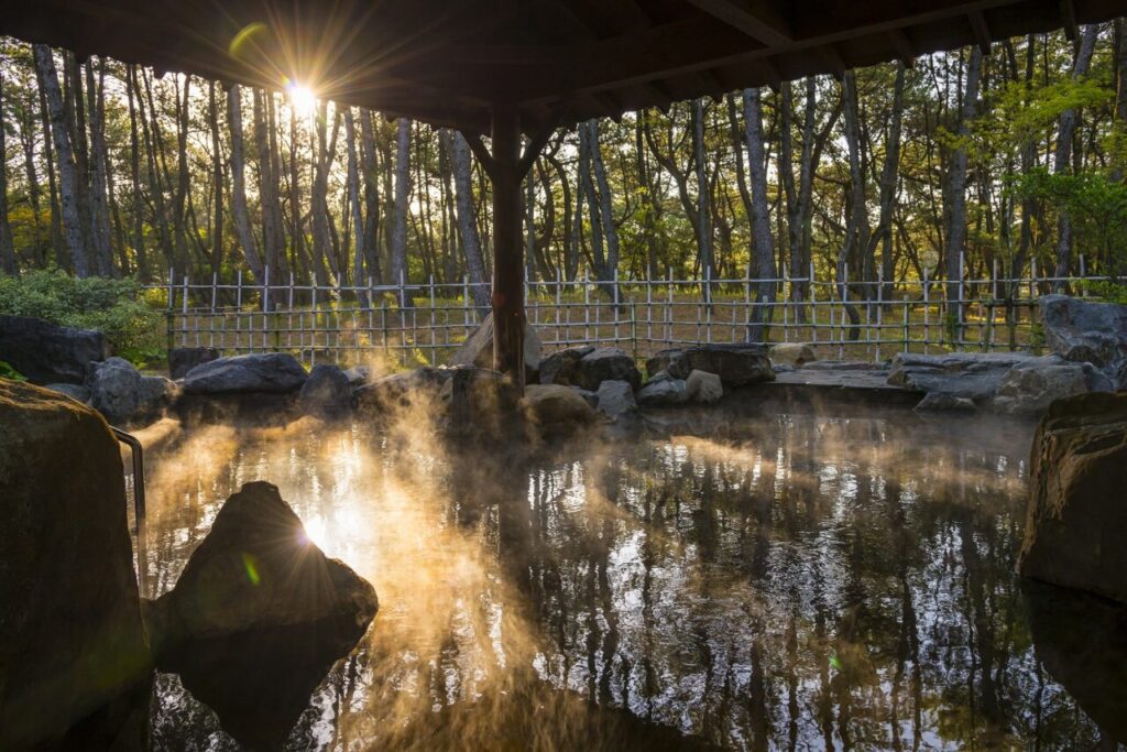 ミネラル豊富な美人の湯として知られる温泉施設「松泉宮」