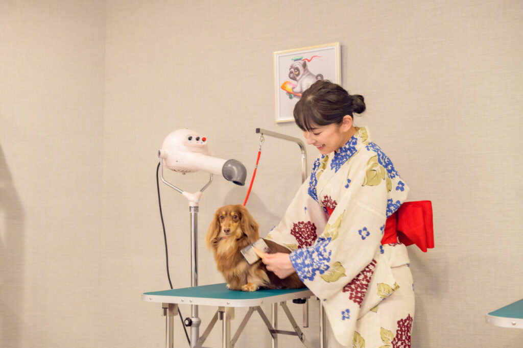 セルフグルーミングコーナー