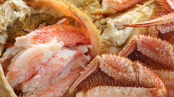 北海道産毛蟹　※画像はイメージです