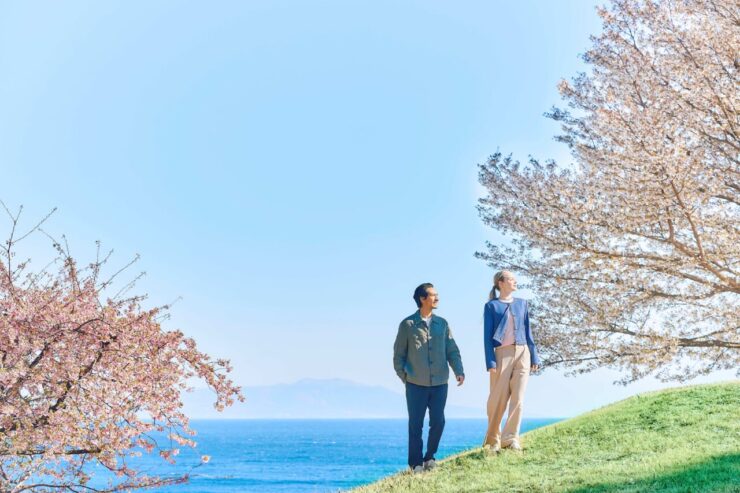 美しい相模灘の海と桜を満喫