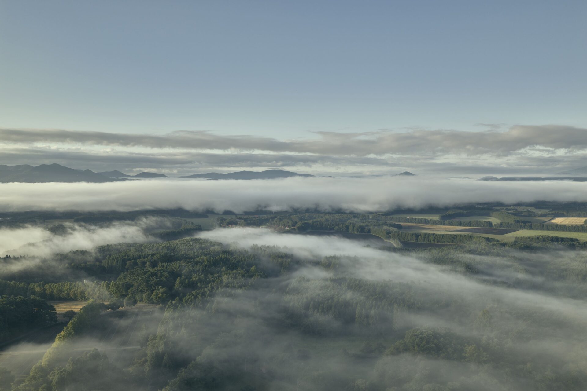 AZUMA FARM Koiwai 施設外観