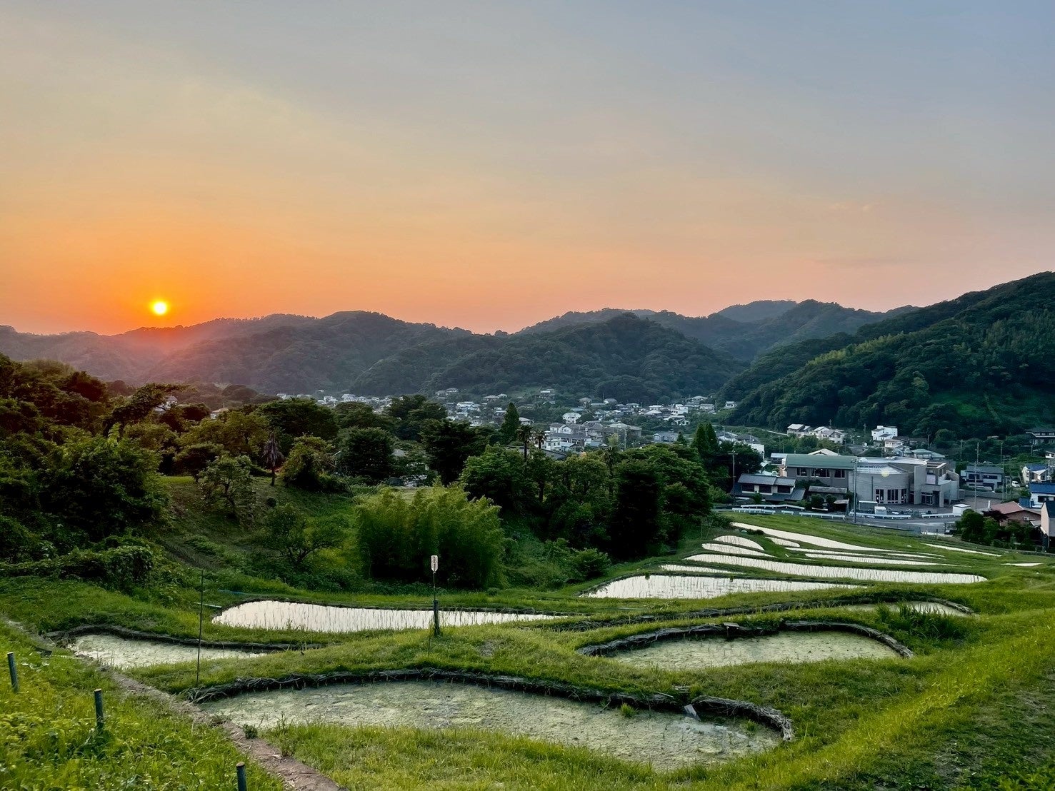 葉山棚田エリア 上山口の棚田