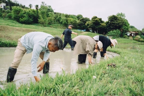 葉山棚田エリア 棚田での田植え体験