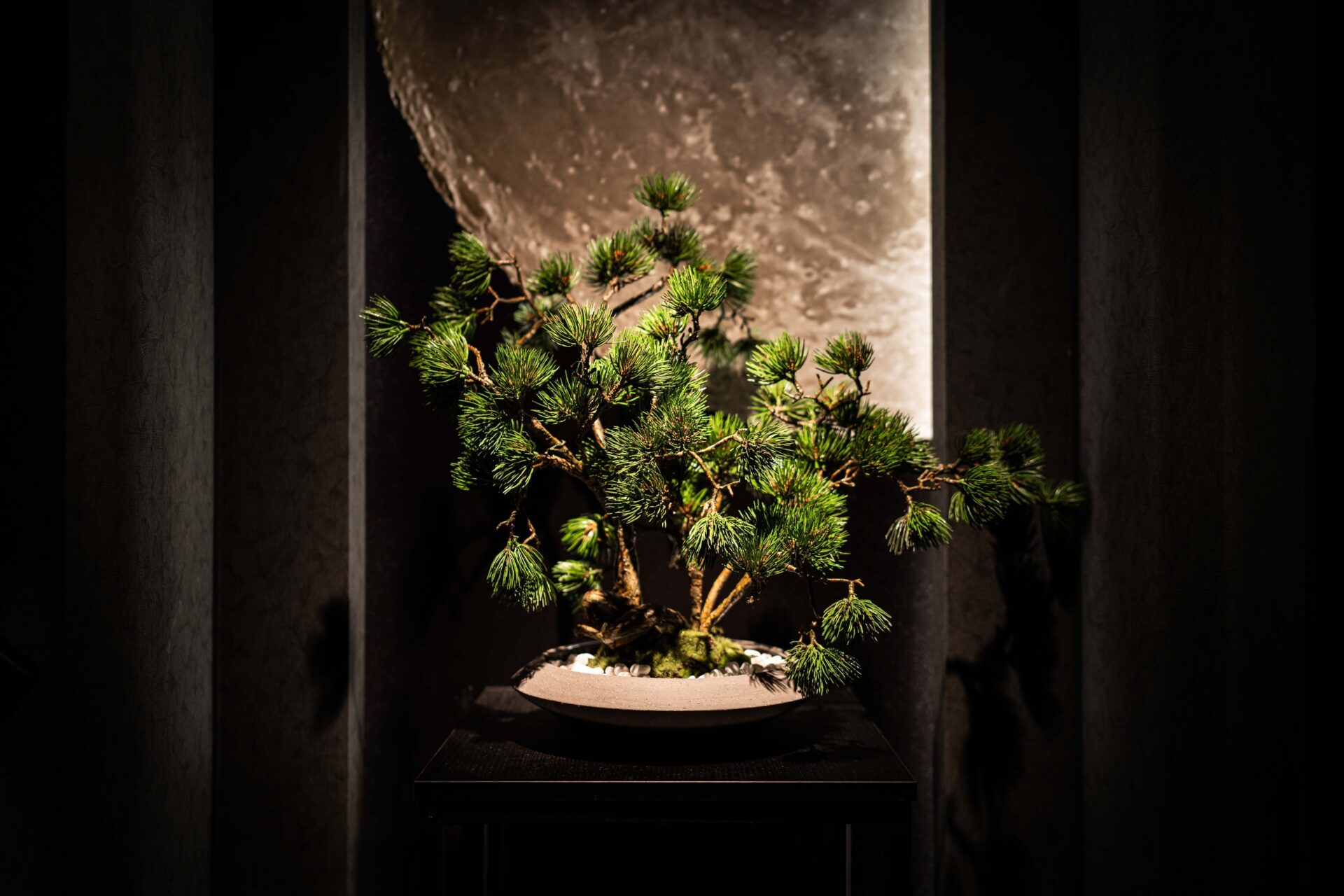 SHOGUN PRIVATE RESIDENCE Shibuya Miyashita Parkの滞在価値設計