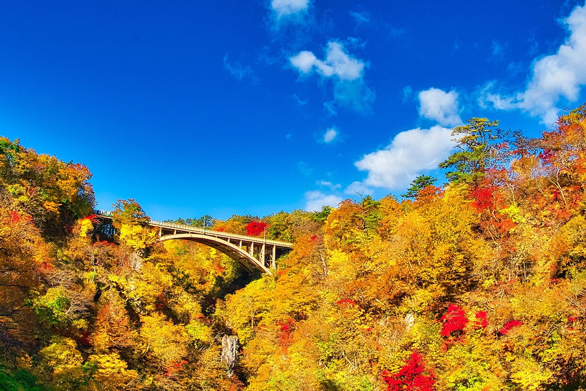 スマイルホテル古川 紅葉に囲まれたアーチ橋